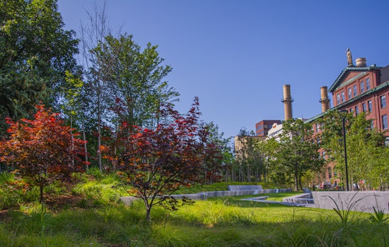 Cambridge Green Initiative Fosters Urban Oasis with Innovative Triangle Park