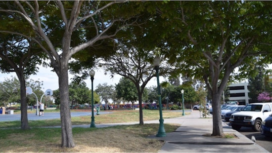 Unveiling Federal Support with San Diego's Path to a Greener, Equitable Urban Forest