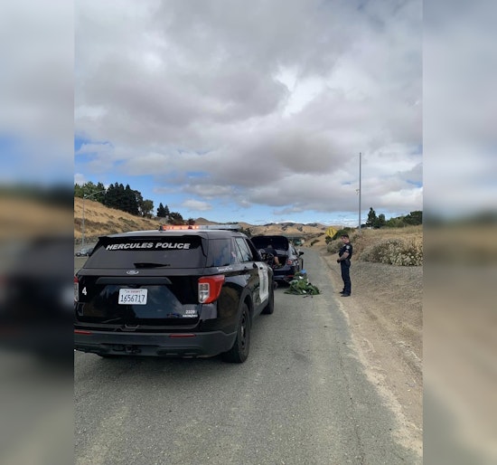 Wanted Hercules Domestic Violence Suspect Arrested with Firearm in Vehicle, Stopped for Walnut Creek Warrant