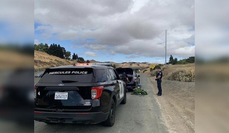 Wanted Hercules Domestic Violence Suspect Arrested with Firearm in Vehicle, Stopped for Walnut Creek Warrant