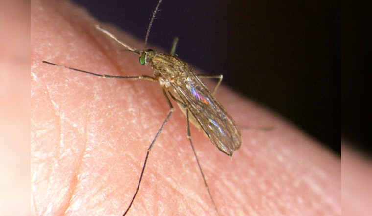 West Nile Virus Claims 2 Lives in Chicago Suburbs