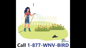 West Nile Virus Situation Worsens in San Mateo County, Residents Urged to Take Precautions Amid Rising Bird Death Toll