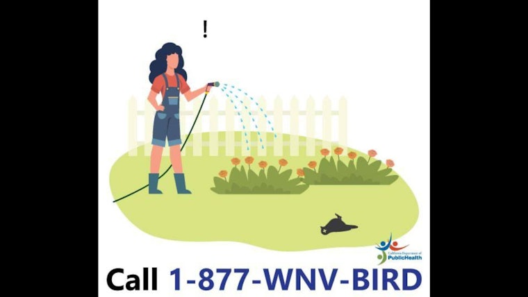 West Nile Virus Situation Worsens in San Mateo County, Residents Urged to Take Precautions Amid Rising Bird Death Toll