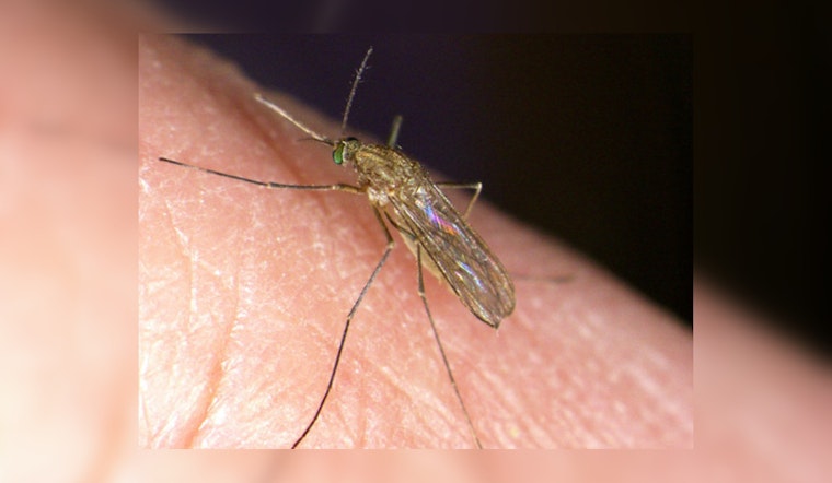West Nile Virus Threat Grows in Contra Costa County; Mosquito Control Measures Also Hiked
