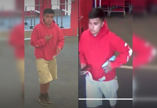 West Springfield's Credit Card Fraud in Holyoke Mall
