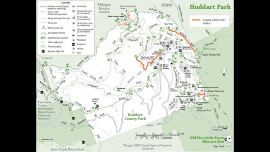 Winter Storms Wreak Havoc on Huddart Park, Closures and Repairs Underway in San Mateo County