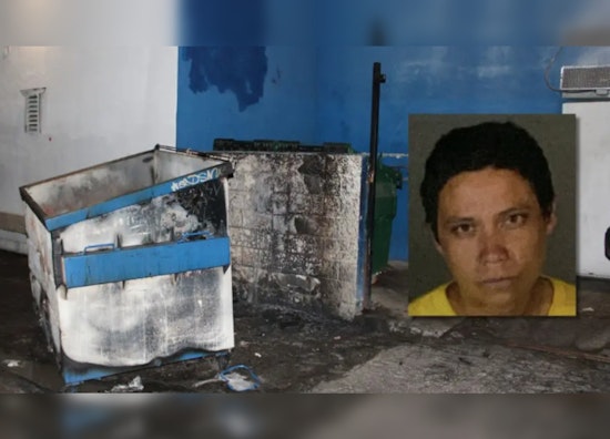 Los Angeles Woman Accused of Setting Multiple Fires in Reseda, Police Fear Additional Arsonists