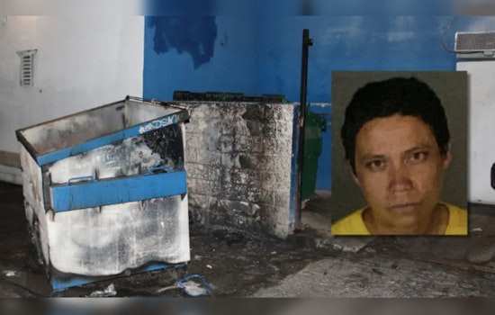 Los Angeles Woman Accused of Setting Multiple Fires in Reseda, Police Fear Additional Arsonists