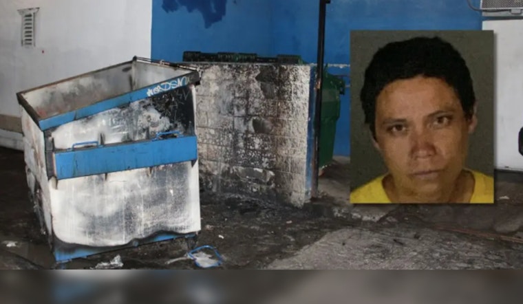 Los Angeles Woman Accused of Setting Multiple Fires in Reseda, Police Fear Additional Arsonists