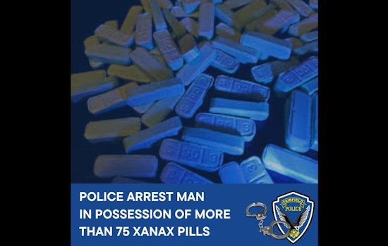 Xanax-fueled Rampage Unleashes on West Texas Street, Fairfield; 33-year-old Arrested