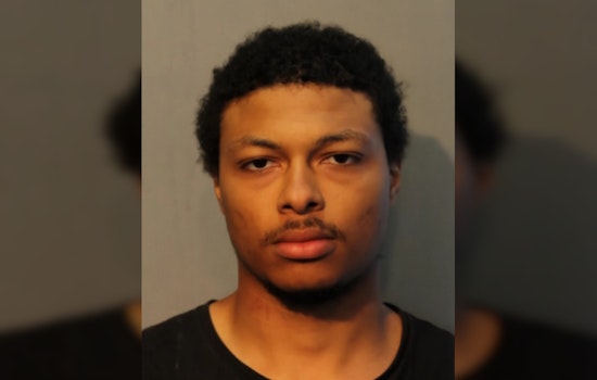 Young Offender Faces Multiple Felony Charges for Vandalism Spree on Chicago's Green Line