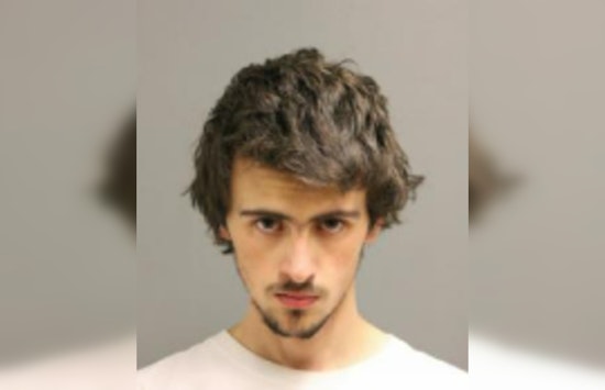 20-Year-Old Charged with Felony for Two Armed Robberies in Chicago's Downtown Area