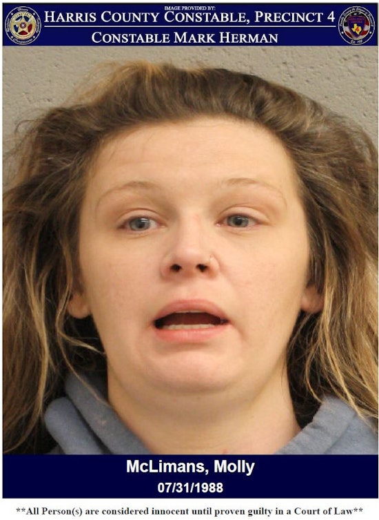 Houston Woman Apprehended on Felony Charge During Welfare Check in Harris County
