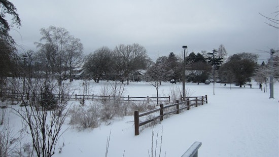 50 Dead as Winter Fury Strikes: From Oregon's Ice Grip to NYC's Snowy Streets