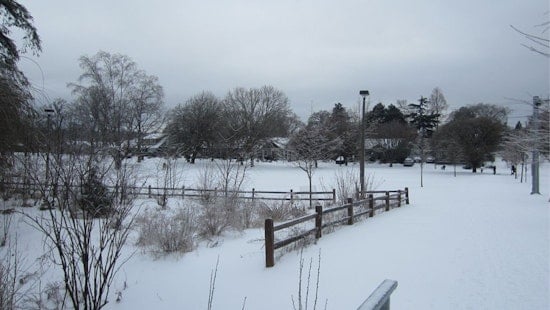 50 Dead as Winter Fury Strikes: From Oregon's Ice Grip to NYC's Snowy Streets