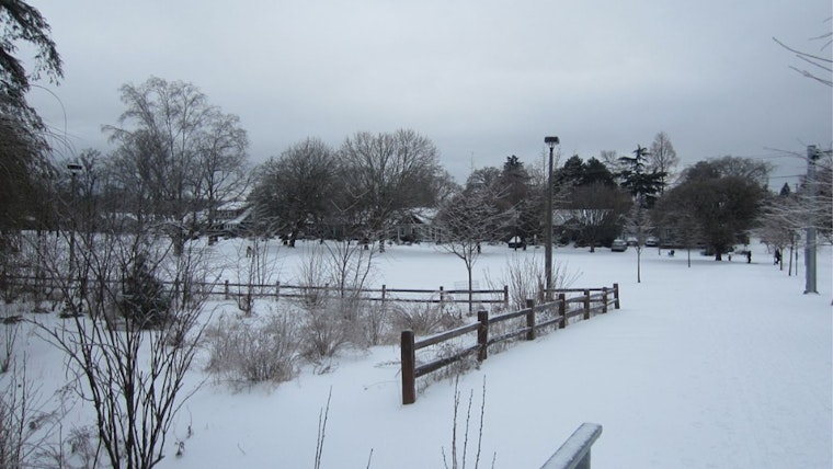 50 Dead as Winter Fury Strikes: From Oregon's Ice Grip to NYC's Snowy Streets