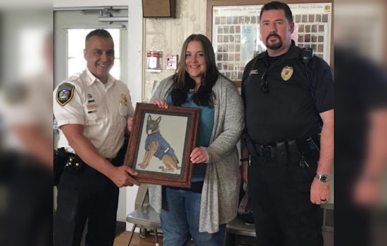 Barnstead NH Police Seek Public's Help in Search for Missing Local Artist Ashley Turcotte