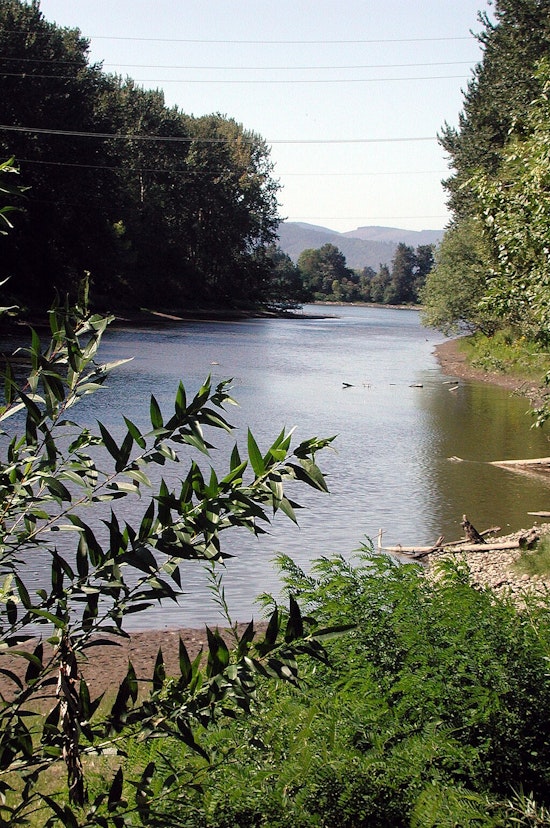 Portland Commits $19.5 Million to Revitalize Columbia Slough, Addressing Century-Old Pollution Issues
