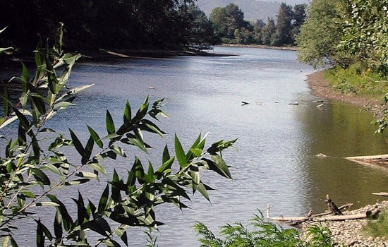 Portland Commits $19.5 Million to Revitalize Columbia Slough, Addressing Century-Old Pollution Issues