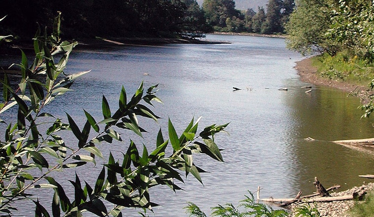 Portland Commits $19.5 Million to Revitalize Columbia Slough, Addressing Century-Old Pollution Issues