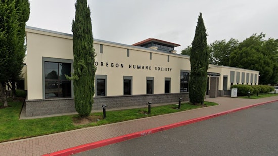 Oregon Humane Society in Portland Wrestles with $75,000 in Storm Damages, Maintains Care for 240 Animals Amidst Weather Crisis