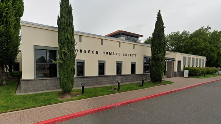 Oregon Humane Society in Portland Wrestles with $75,000 in Storm Damages, Maintains Care for 240 Animals Amidst Weather Crisis