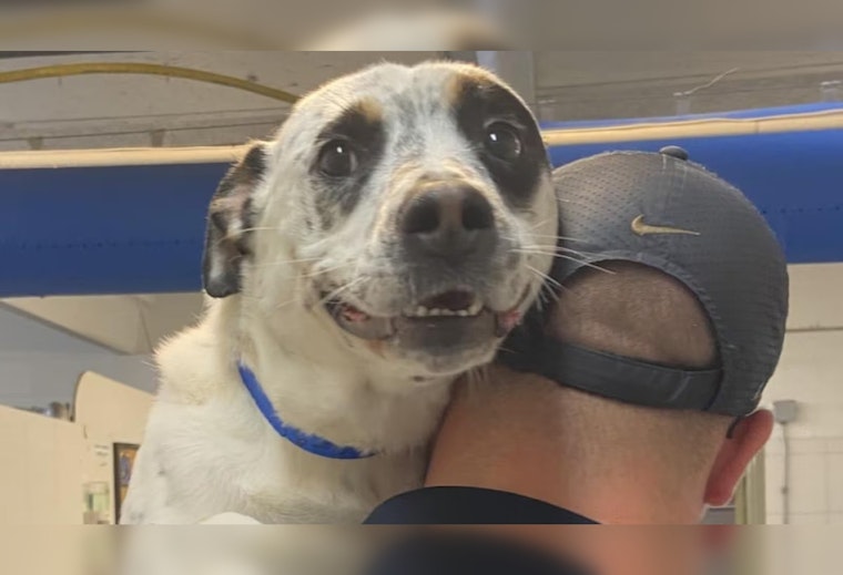 Abused Dog Neo Finds Forever Home in Arkansas After Over 500 Days Awaiting Adoption