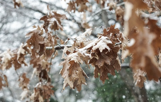 Amarillo and Texas Panhandle Prepare for Snow with Anticipated Slippery Roads During Winter Advisory