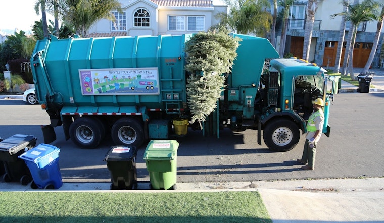 Anaheim Advises Residents on Post-Holiday Christmas Tree Recycling Through January 12