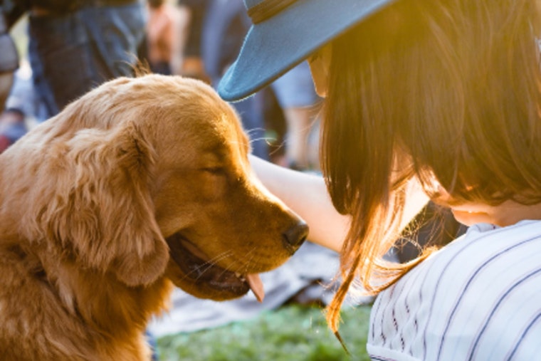 Animal Care Services Unveils Groundbreaking Pet Ownership Plan for San Antonio