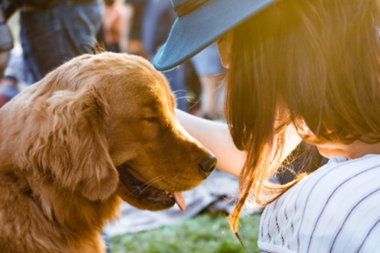 Animal Care Services Unveils Groundbreaking Pet Ownership Plan for San Antonio