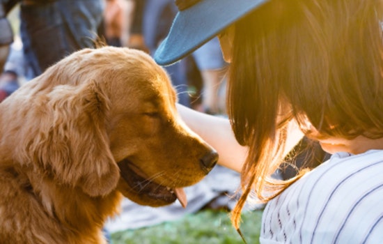 Animal Care Services Unveils Groundbreaking Pet Ownership Plan for San Antonio