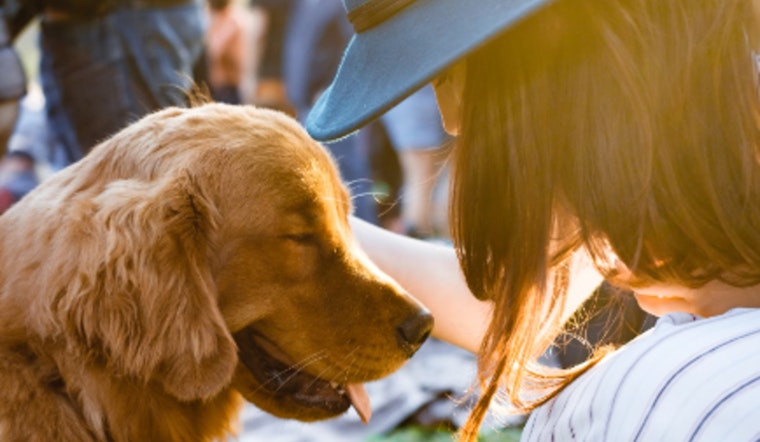 Animal Care Services Unveils Groundbreaking Pet Ownership Plan for San Antonio
