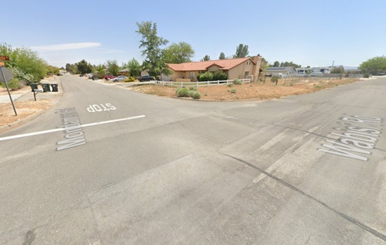 Apple Valley Man, 19, Charged with Felony After High-Speed Chase Ends in Crash on I-15