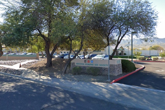 Arizona Humane Society Rallies for Tougher Animal Cruelty Laws Amid Rising Abuse Cases