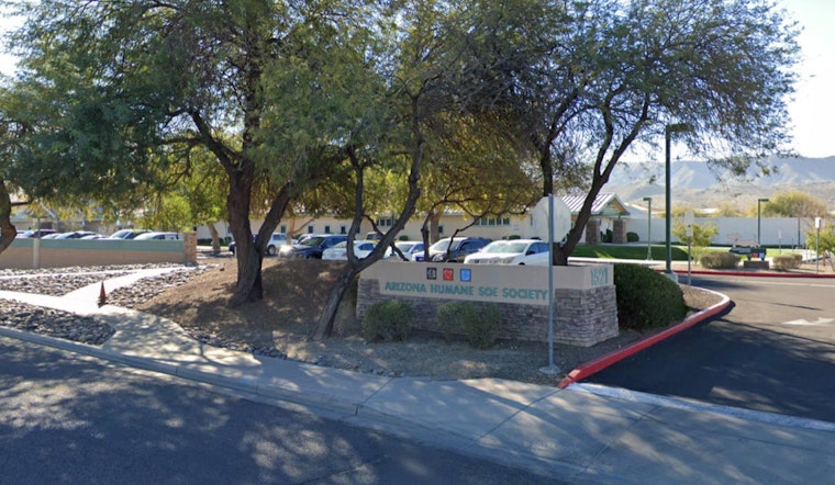 Arizona Humane Society Rallies for Tougher Animal Cruelty Laws Amid Rising Abuse Cases