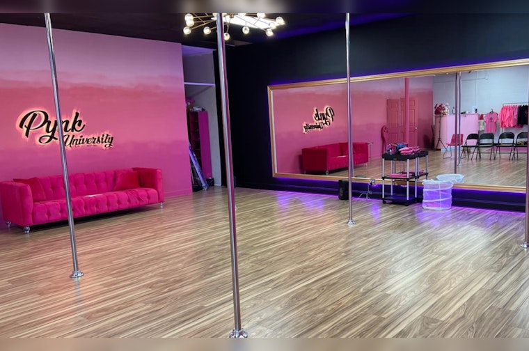 Atlanta Studio s Mommy and Me Pole Dancing Class Sparks Online