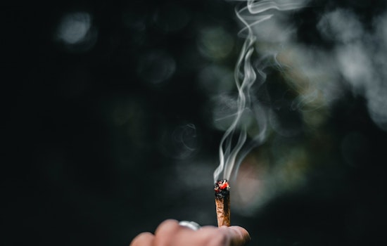 Attorney General Raoul Rallies 20 States for Swift Ban on Menthol Smokes