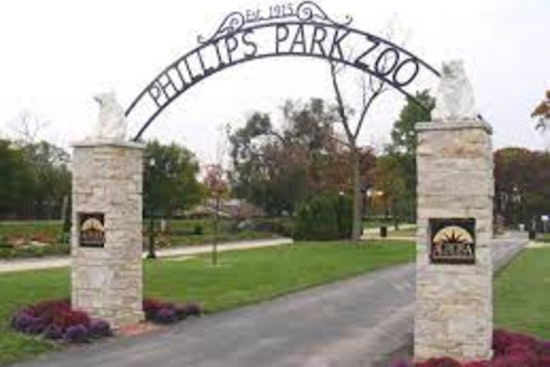 Aurora's Phillips Park Zoo Extends Closure Amid Extreme Cold, Prioritizes Animal Care