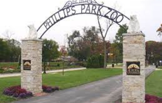 Aurora's Phillips Park Zoo Extends Closure Amid Extreme Cold, Prioritizes Animal Care