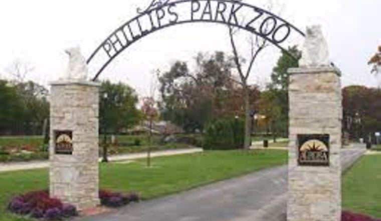 Aurora's Phillips Park Zoo Extends Closure Amid Extreme Cold, Prioritizes Animal Care