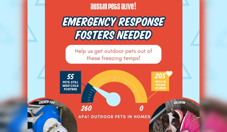Austin Community Rallies to Shelter Animals During Cold Snap, APA! Finds Foster Homes for Hundreds