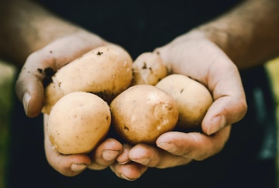 Austin Convention Center Hosts Record-Setting Potato Expo 2024 with Industry Innovations and Texas Flair