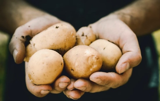 Austin Convention Center Hosts Record-Setting Potato Expo 2024 with Industry Innovations and Texas Flair