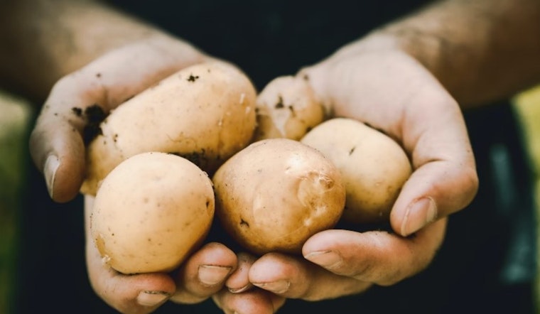 Austin Convention Center Hosts Record-Setting Potato Expo 2024 with Industry Innovations and Texas Flair