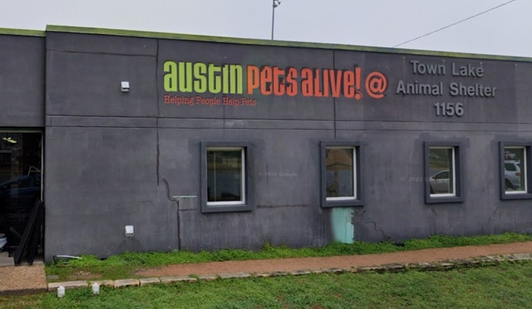 Austin Pets Alive! Breathes Sigh of Relief as Stolen Pet Rescue Van Found at Local 7-Eleven