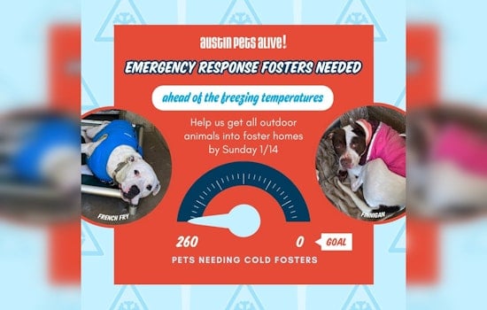 Austin Pets Alive! Seeks Emergency Fosters to Protect Over 200 Animals from Chilling Texas Weather