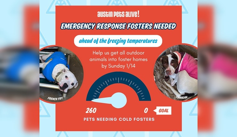 Austin Pets Alive! Seeks Emergency Fosters to Protect Over 200 Animals from Chilling Texas Weather