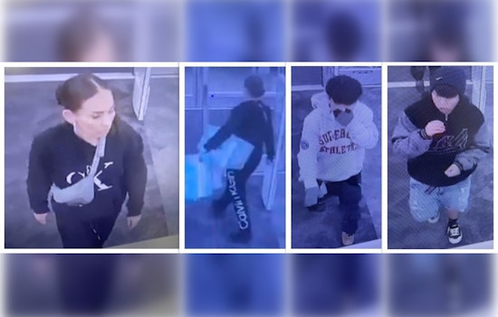 Austin Police Seek Public's Help in Identifying Suspects in CVS Robbery on Airport Boulevard