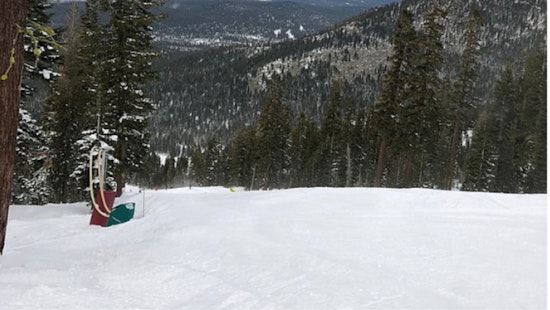 Bay Area Man Dies in Tahoe Avalanche Despite Safety Measures, Skiing Community Mourns